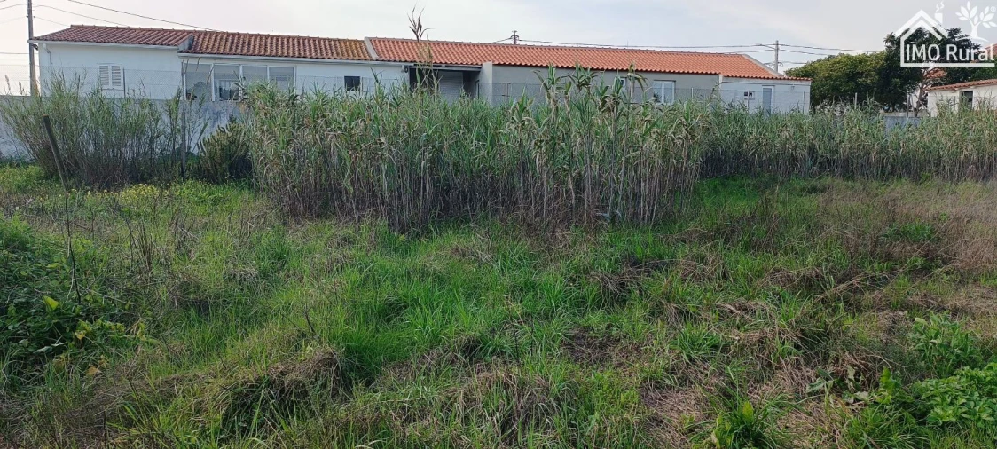 Terreno para Venda em Marvila, Ribeira Santarém, São Salvador, São Nicolau Foto 14