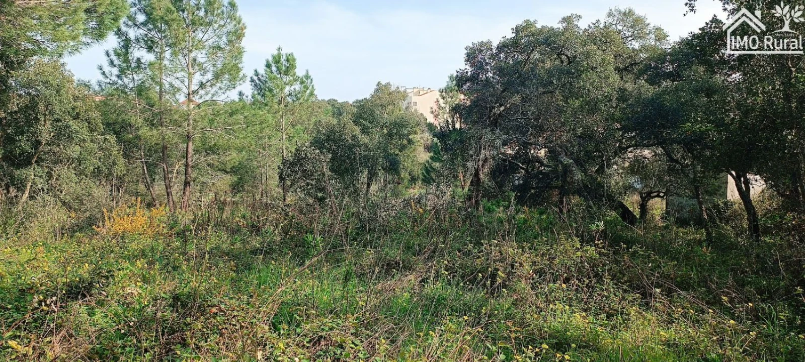 Terreno para Venda em Marvila, Ribeira Santarém, São Salvador, São Nicolau Foto 9