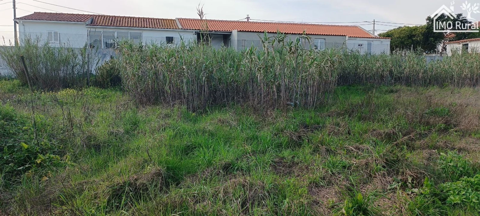 Terreno para Venda em Marvila, Ribeira Santarém, São Salvador, São Nicolau Foto 14