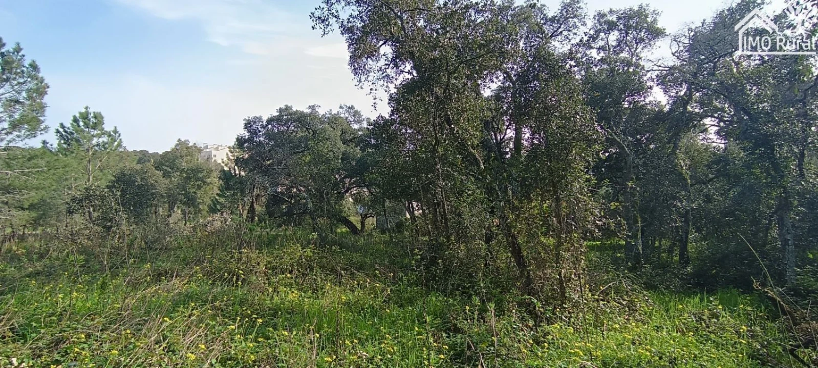 Terreno para Venda em Marvila, Ribeira Santarém, São Salvador, São Nicolau Foto 10