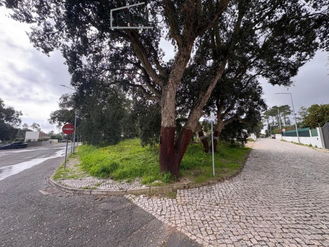 Terreno para Venda em Sesimbra (Castelo) Foto 10