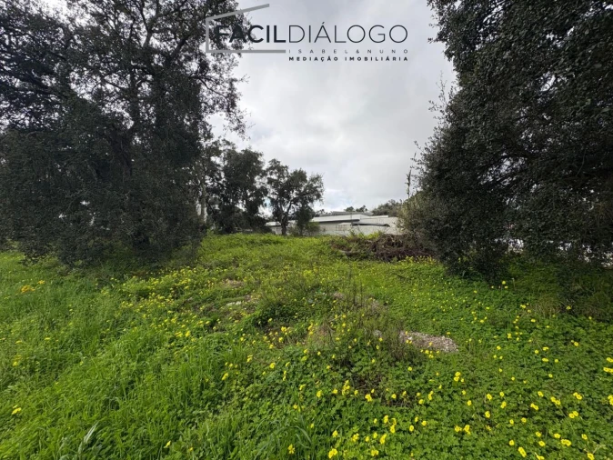 Terreno para Venda em Sesimbra (Castelo) Foto 12