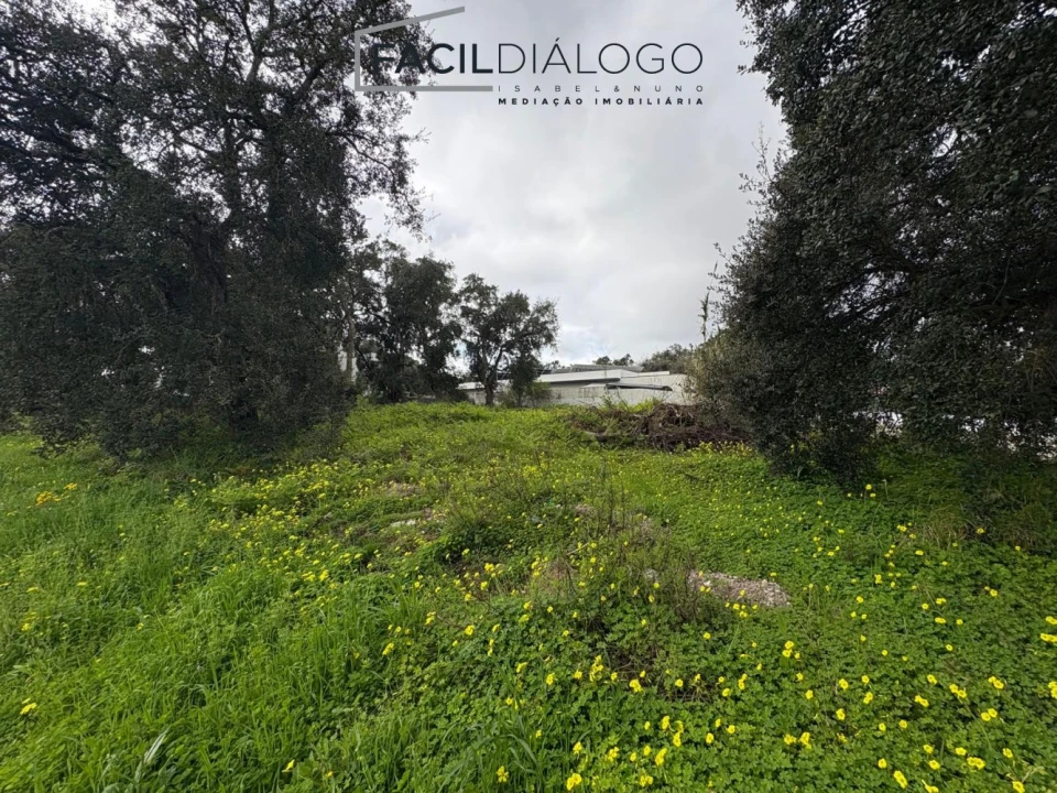 Terreno para Venda em Sesimbra (Castelo) Foto 12