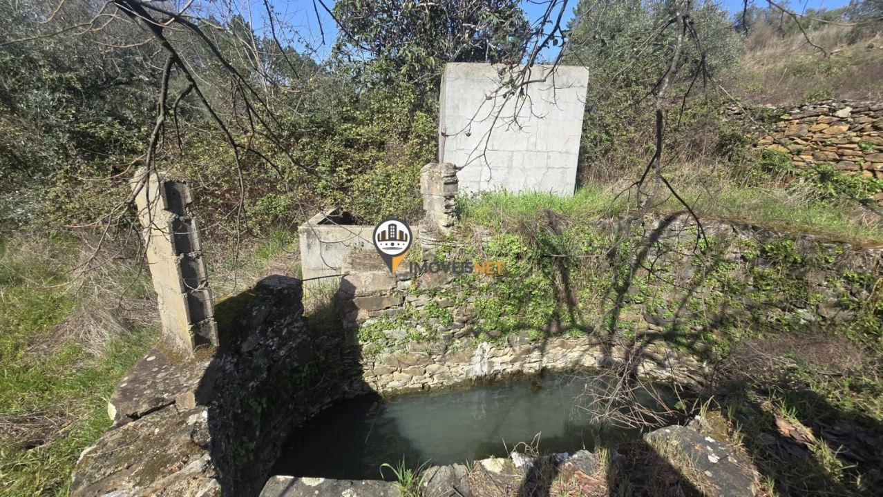 Terreno para Venda em Escalos de Baixo e Mata Foto 36