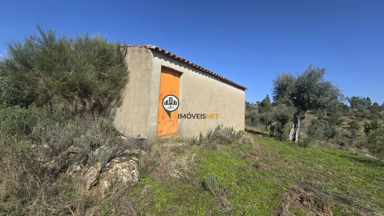 Terreno para Venda em Escalos de Baixo e Mata Foto 14