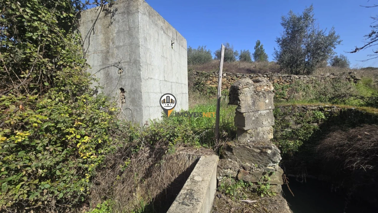 Terreno para Venda em Escalos de Baixo e Mata Foto 41