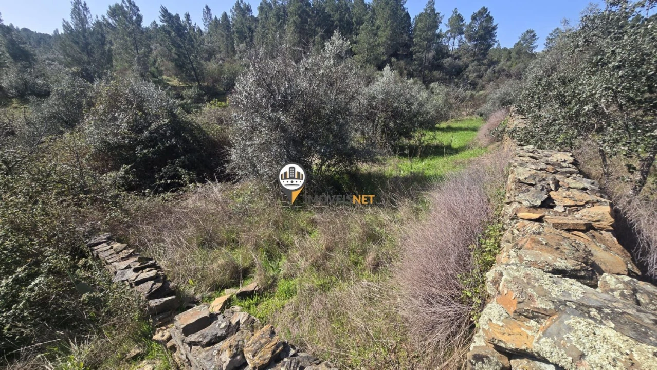 Terreno para Venda em Escalos de Baixo e Mata Foto 30