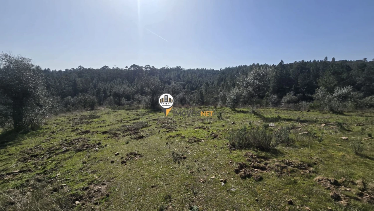Terreno para Venda em Escalos de Baixo e Mata Foto 21
