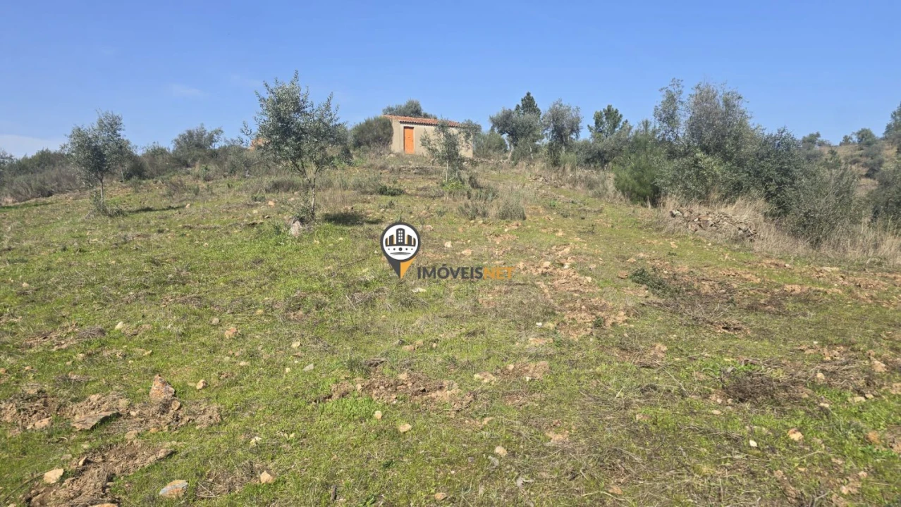 Terreno para Venda em Escalos de Baixo e Mata Foto 55