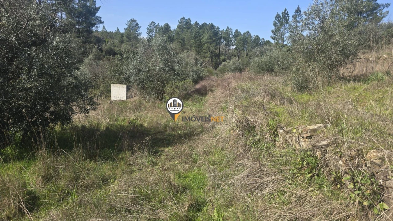 Terreno para Venda em Escalos de Baixo e Mata Foto 50