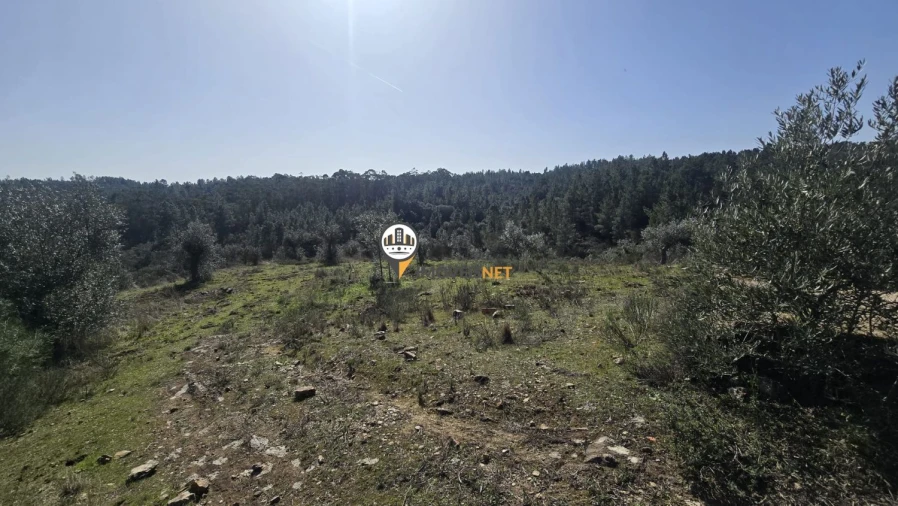 Terreno para Venda em Escalos de Baixo e Mata Foto 17