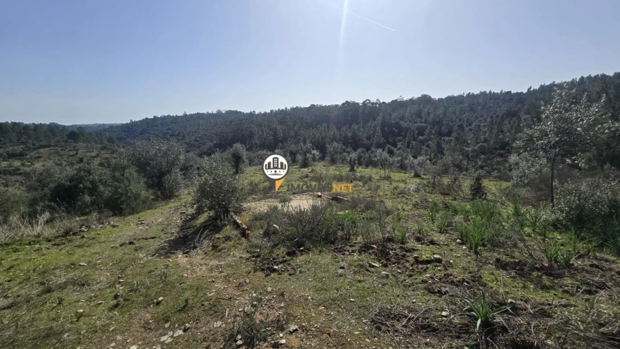 Terreno para Venda em Escalos de Baixo e Mata Foto 15