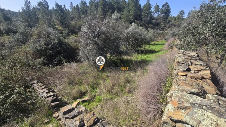 Terreno para Venda em Escalos de Baixo e Mata Foto 30