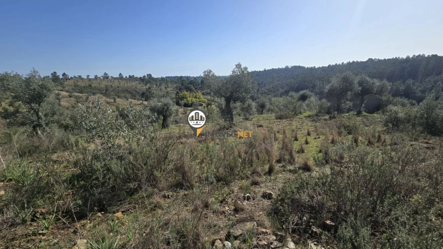 Terreno para Venda em Escalos de Baixo e Mata Foto 8