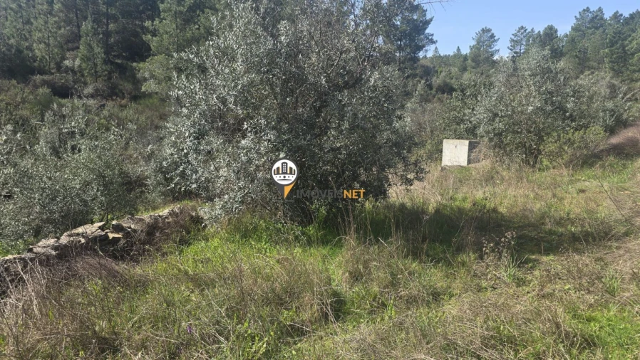 Terreno para Venda em Escalos de Baixo e Mata Foto 51