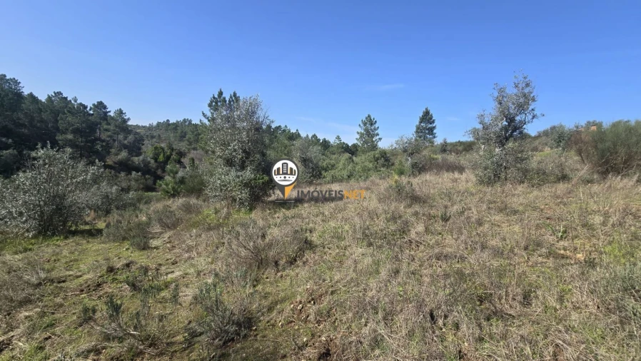 Terreno para Venda em Escalos de Baixo e Mata Foto 28