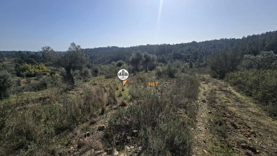 Terreno para Venda em Escalos de Baixo e Mata Foto 7