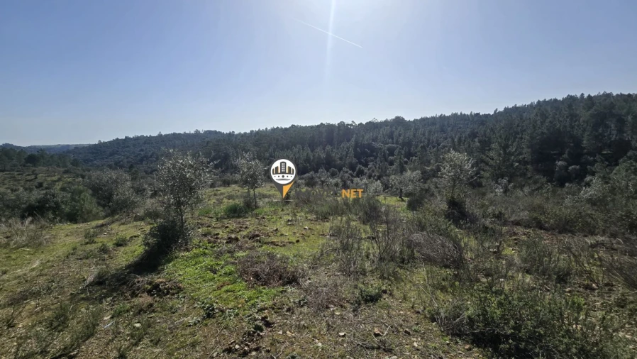 Terreno para Venda em Escalos de Baixo e Mata Foto 12
