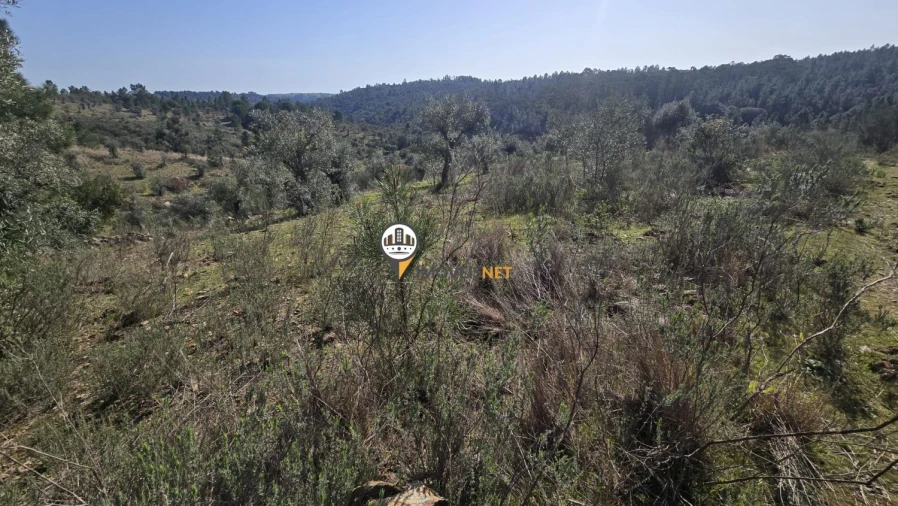 Terreno para Venda em Escalos de Baixo e Mata Foto 4