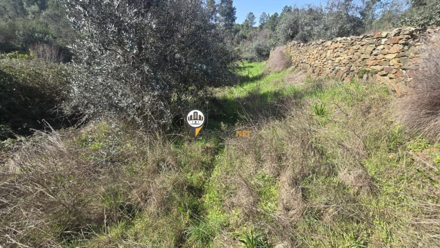 Terreno para Venda em Escalos de Baixo e Mata Foto 32