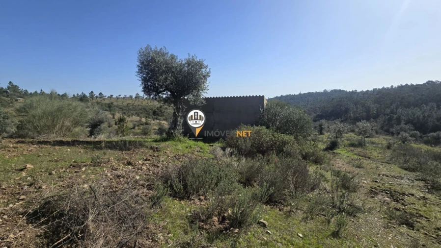 Terreno para Venda em Escalos de Baixo e Mata Foto 10