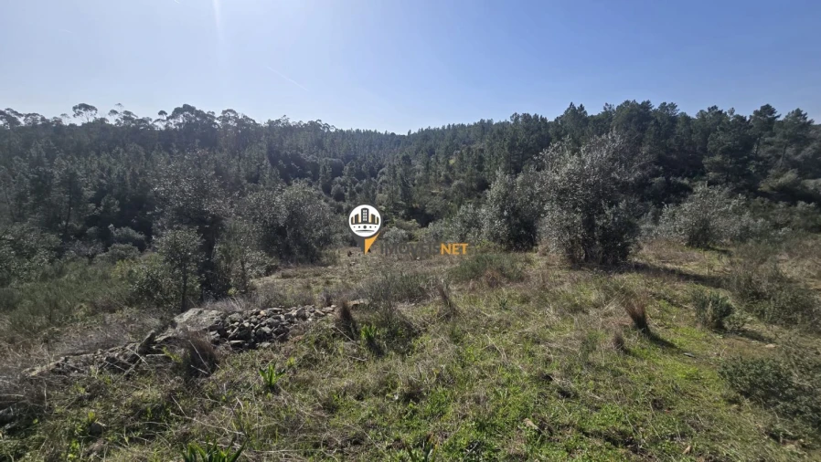 Terreno para Venda em Escalos de Baixo e Mata Foto 26