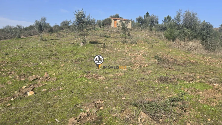 Terreno para Venda em Escalos de Baixo e Mata Foto 54