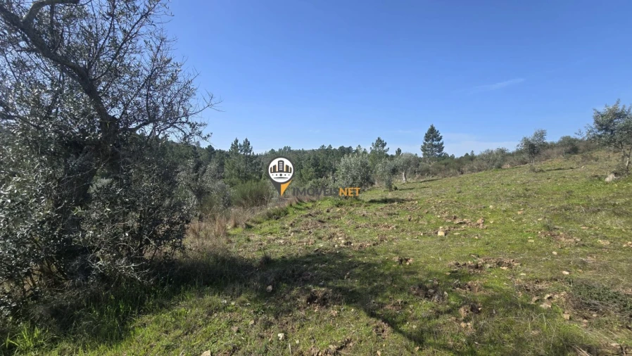 Terreno para Venda em Escalos de Baixo e Mata Foto 22