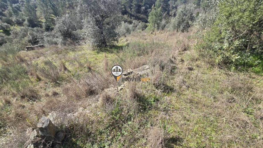 Terreno para Venda em Escalos de Baixo e Mata Foto 29