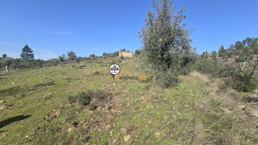 Terreno para Venda em Escalos de Baixo e Mata Foto 25