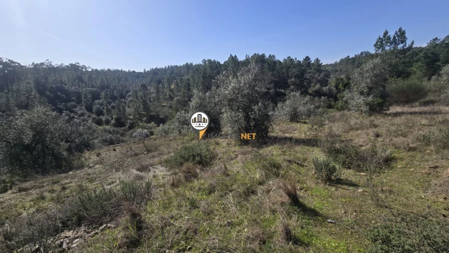 Terreno para Venda em Escalos de Baixo e Mata Foto 27