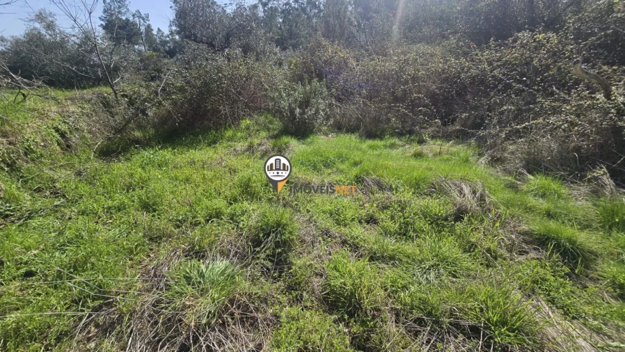 Terreno para Venda em Escalos de Baixo e Mata Foto 43