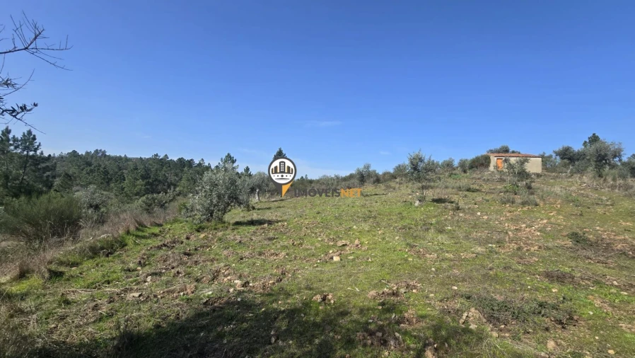 Terreno para Venda em Escalos de Baixo e Mata Foto 23