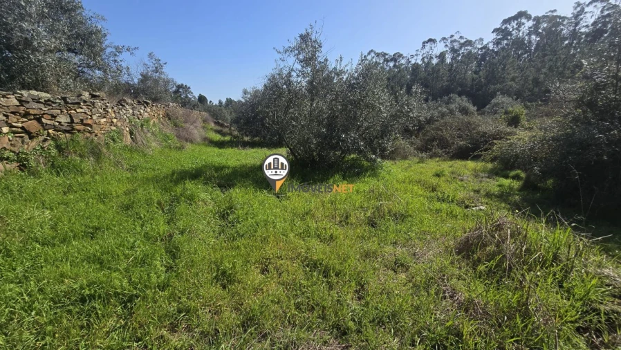 Terreno para Venda em Escalos de Baixo e Mata Foto 45