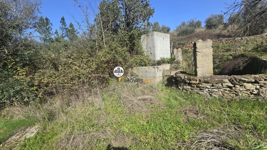 Terreno para Venda em Escalos de Baixo e Mata Foto 46