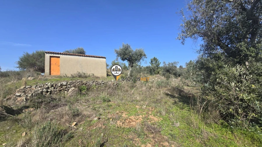 Terreno para Venda em Escalos de Baixo e Mata Foto 18
