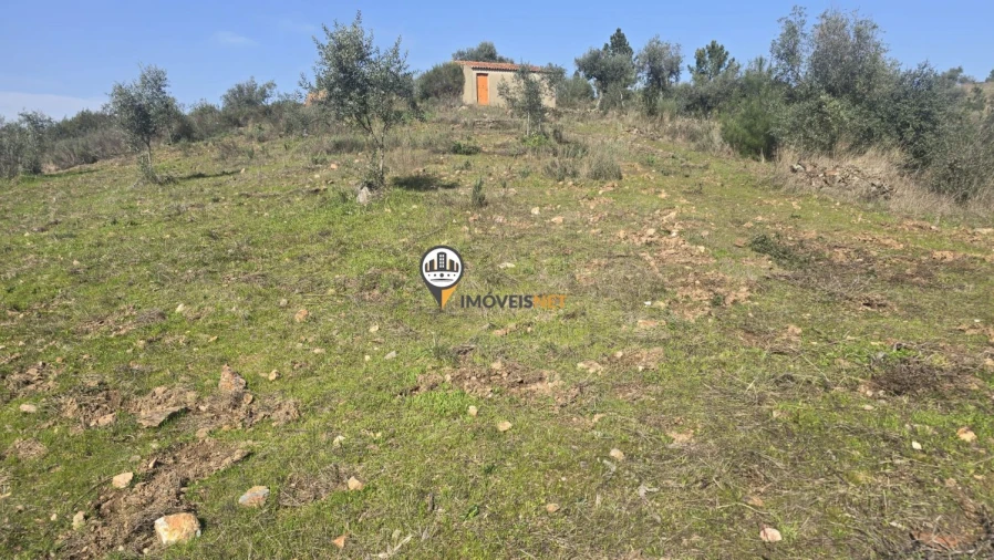 Terreno para Venda em Escalos de Baixo e Mata Foto 56