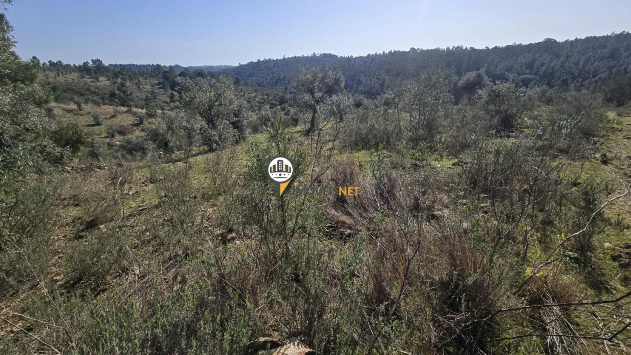 Terreno para Venda em Escalos de Baixo e Mata Foto 4