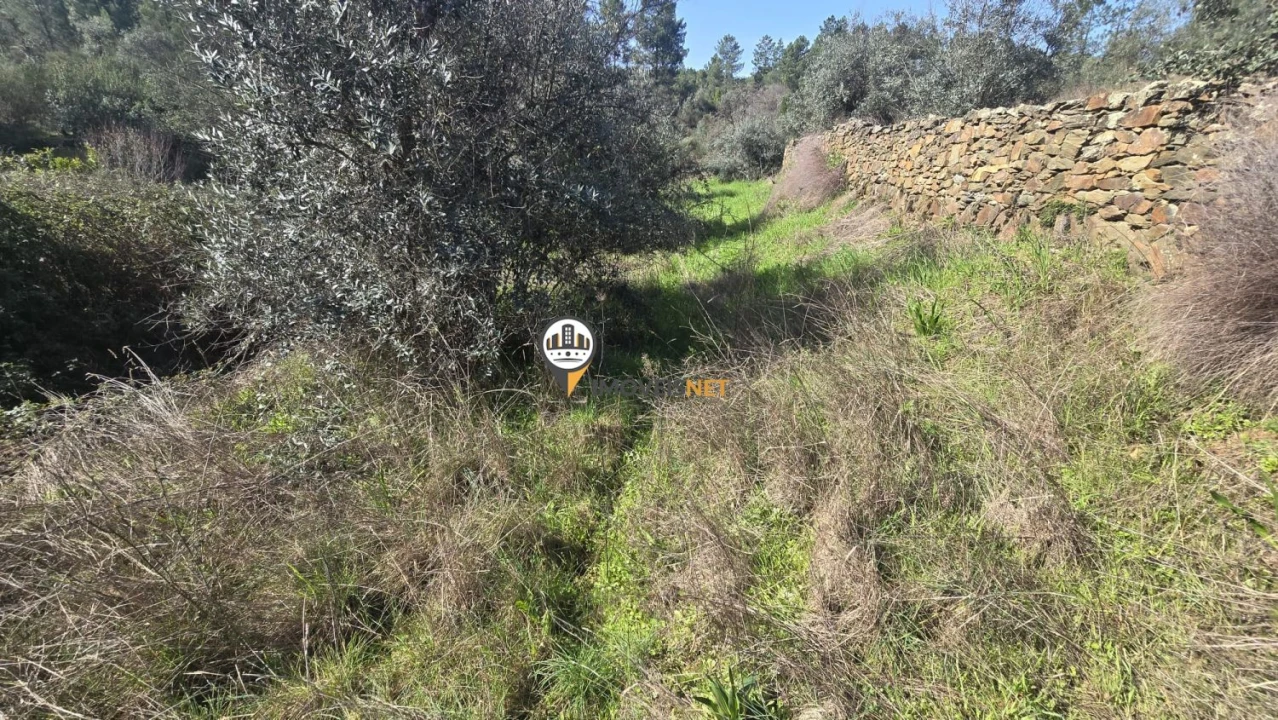 Terreno para Venda em Escalos de Baixo e Mata Foto 32