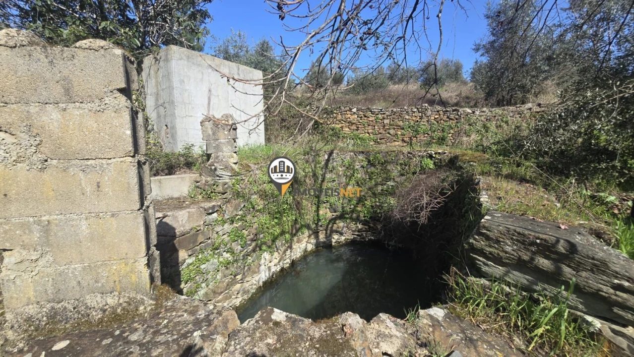 Terreno para Venda em Escalos de Baixo e Mata Foto 3