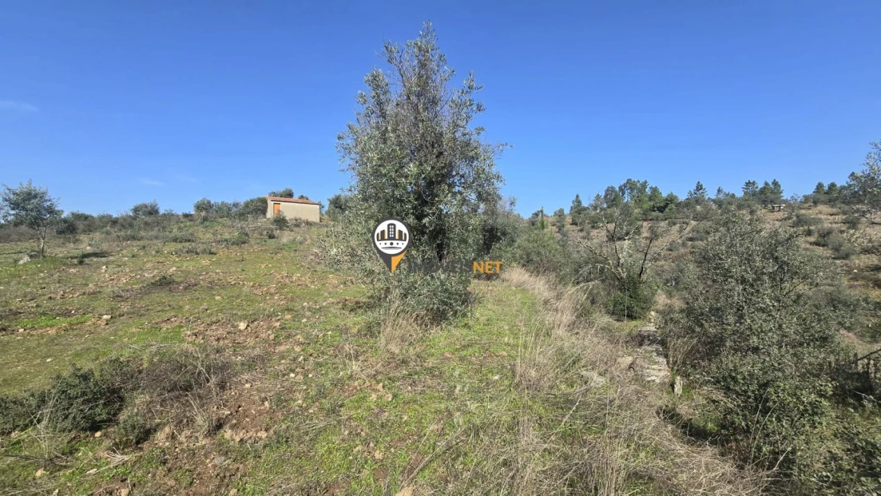 Terreno para Venda em Escalos de Baixo e Mata Foto 24