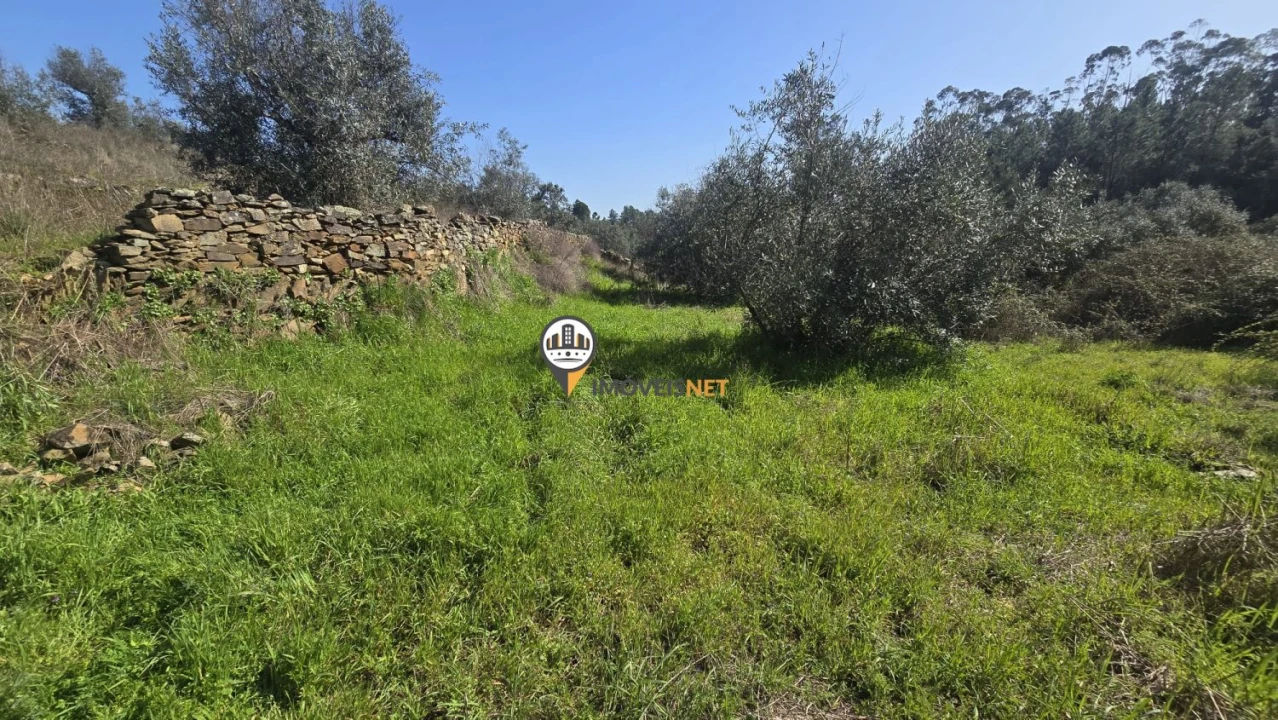 Terreno para Venda em Escalos de Baixo e Mata Foto 47