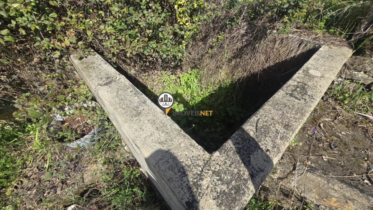 Terreno para Venda em Escalos de Baixo e Mata Foto 38