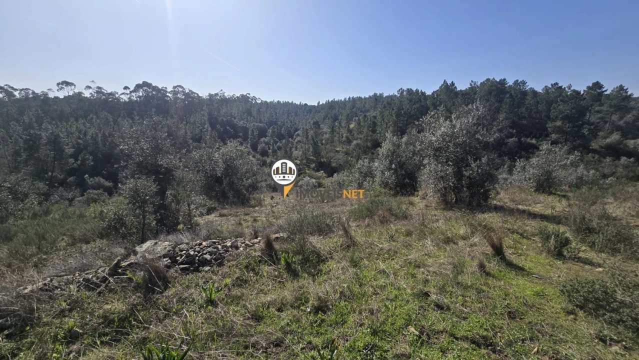 Terreno para Venda em Escalos de Baixo e Mata Foto 26