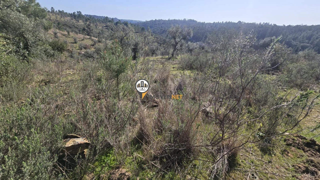 Terreno para Venda em Escalos de Baixo e Mata Foto 5