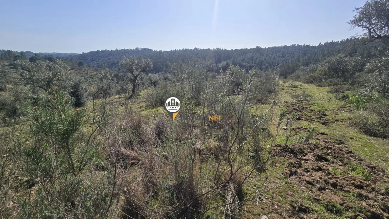 Terreno para Venda em Escalos de Baixo e Mata Foto 6