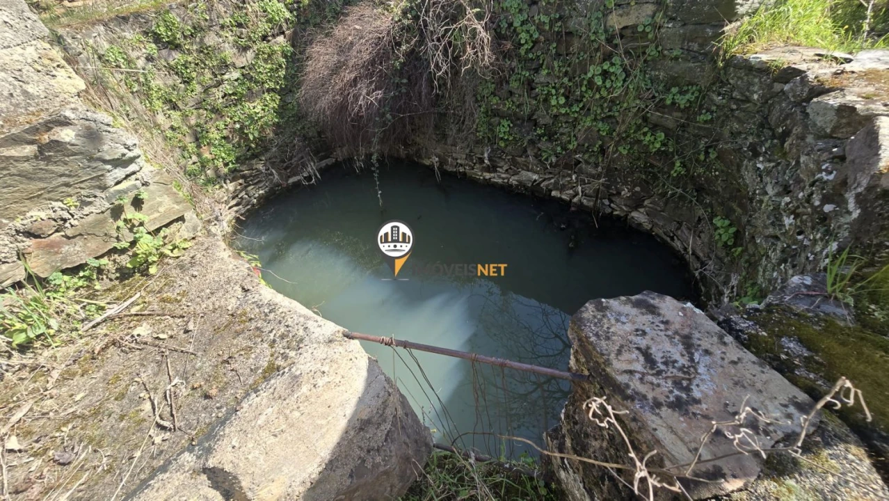 Terreno para Venda em Escalos de Baixo e Mata Foto 2