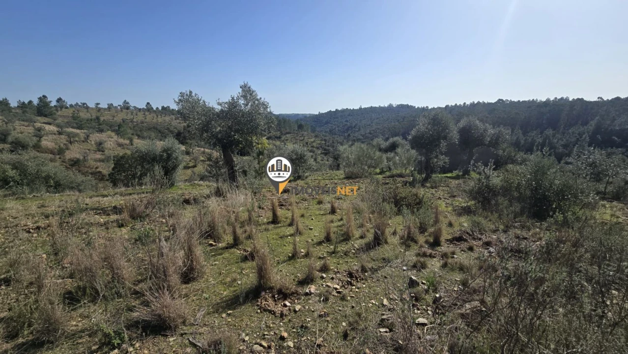Terreno para Venda em Escalos de Baixo e Mata Foto 9