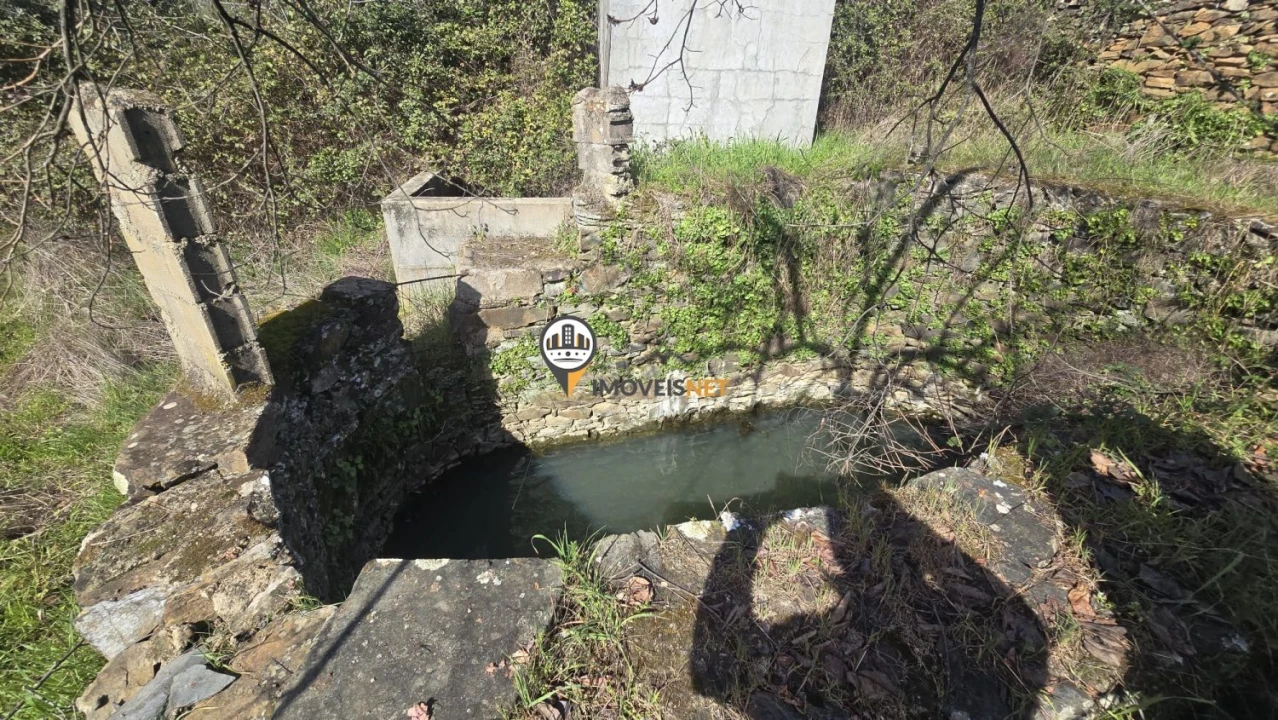 Terreno para Venda em Escalos de Baixo e Mata Foto 35