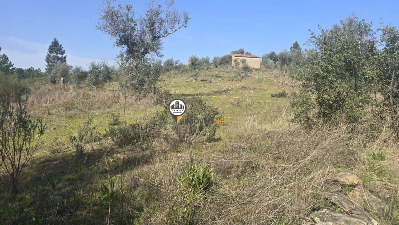 Terreno para Venda em Escalos de Baixo e Mata Foto 53